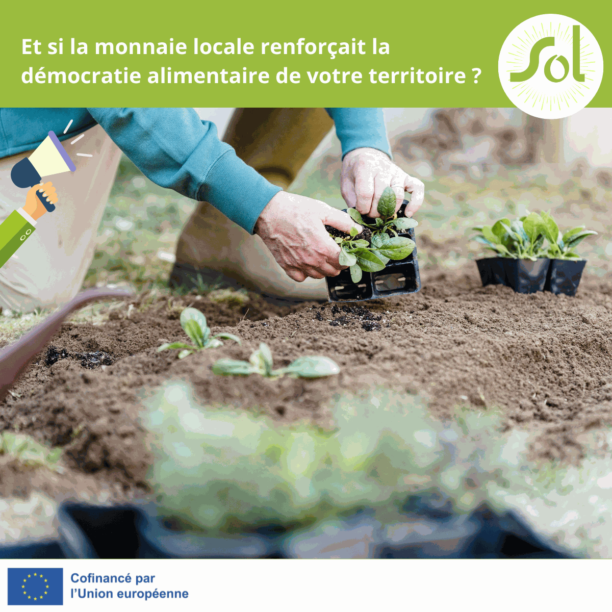 Odoo • Texte et Image